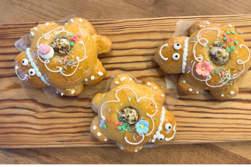 tortugas de pascua infantiles