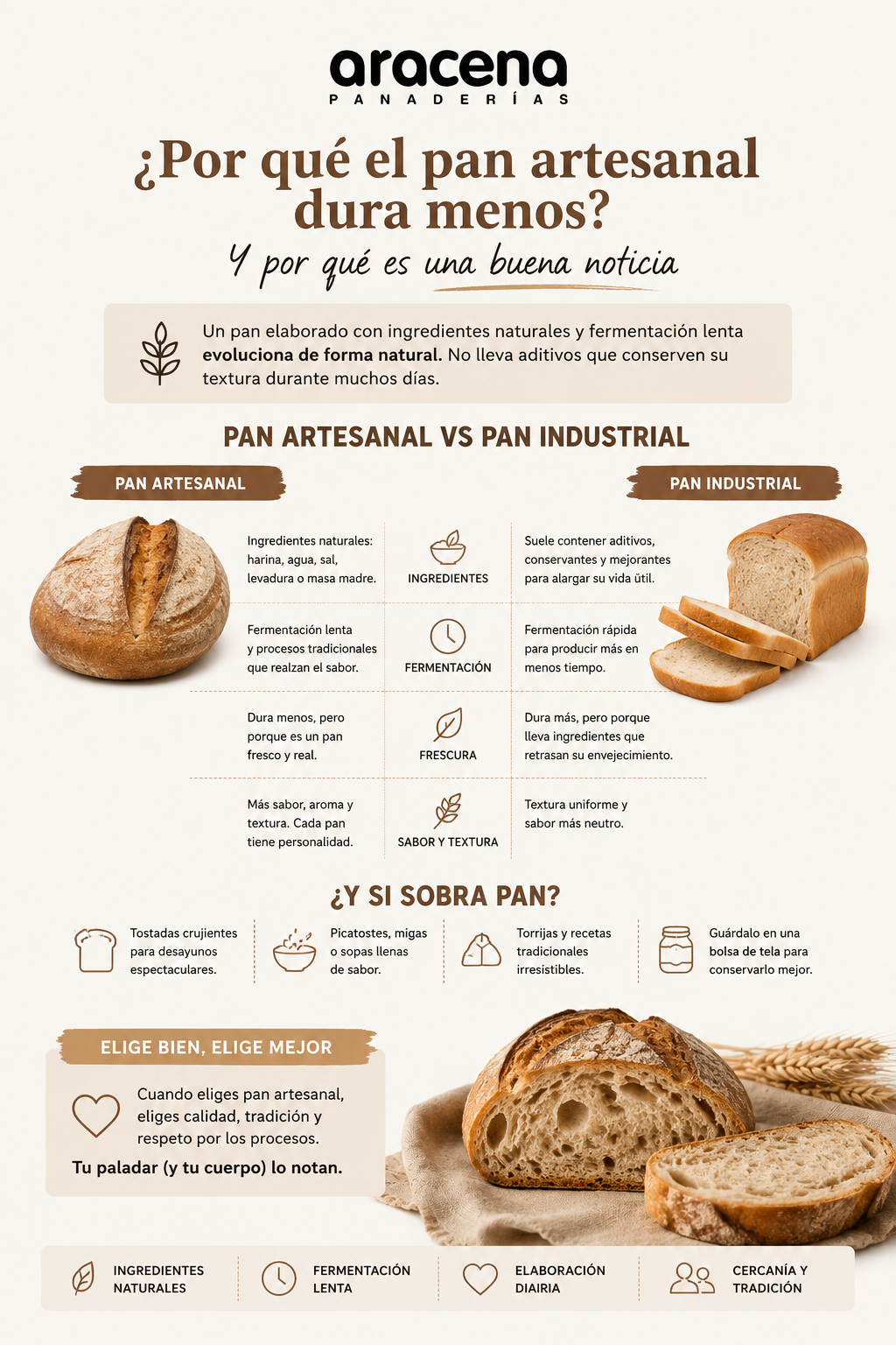 ¿Por qué el pan artesanal en Elda dura menos... y eso es una buena noticia? 2 infografía tipos de pan